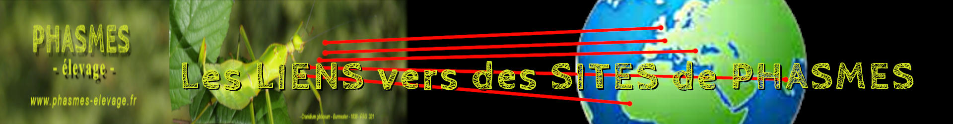 banniere liens vers sites de phasmes