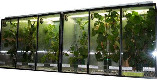 batterie de 6 terrariums