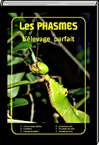 livre : les phasmes, l'levage parfait